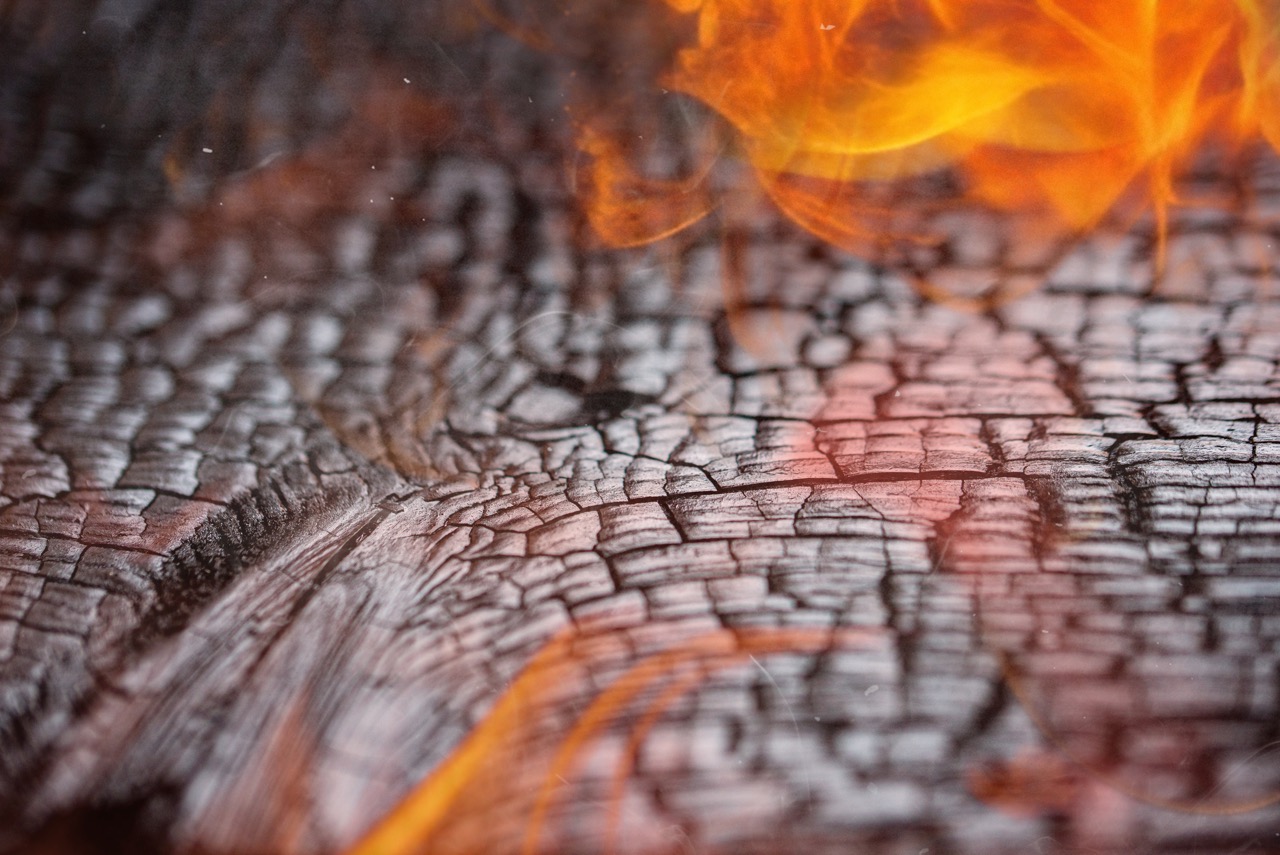 Het beschermen van hout met vuur en ecologie